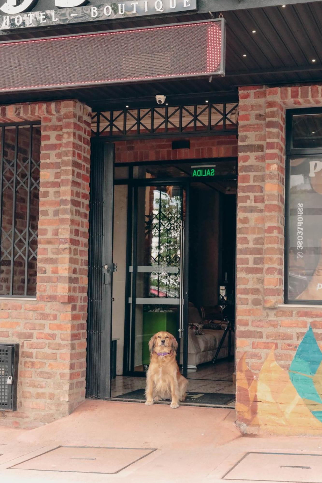 Bunde Haus Hotel Express Boutique Ibague Ngoại thất bức ảnh